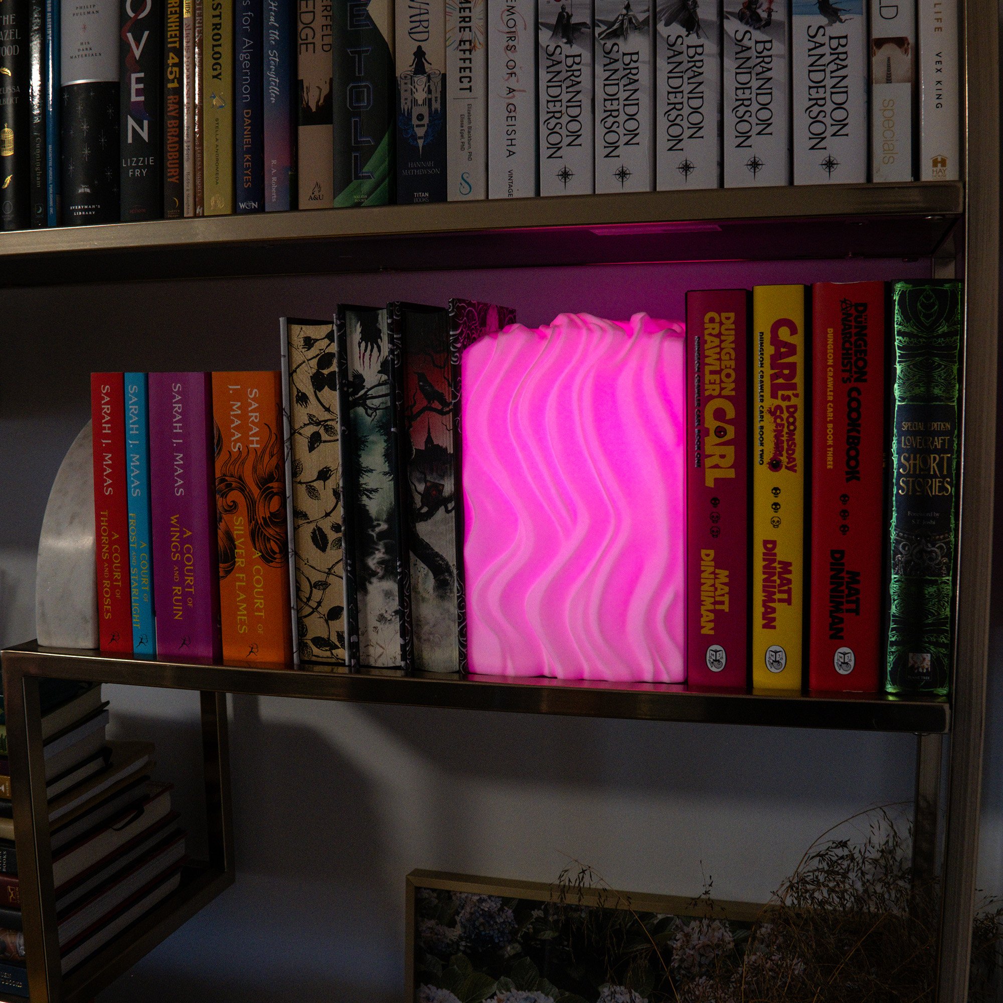 Bookshelf with various books, a pink wavy light fixture, and a framed photo or artwork at the bottom right.