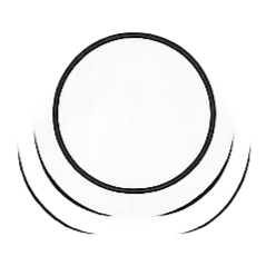 A white circular plate with a black rim