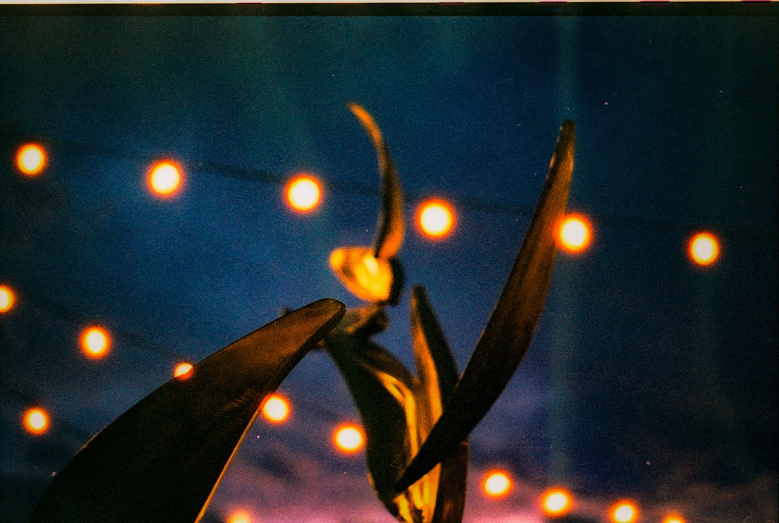 Image 2 (6).jpg