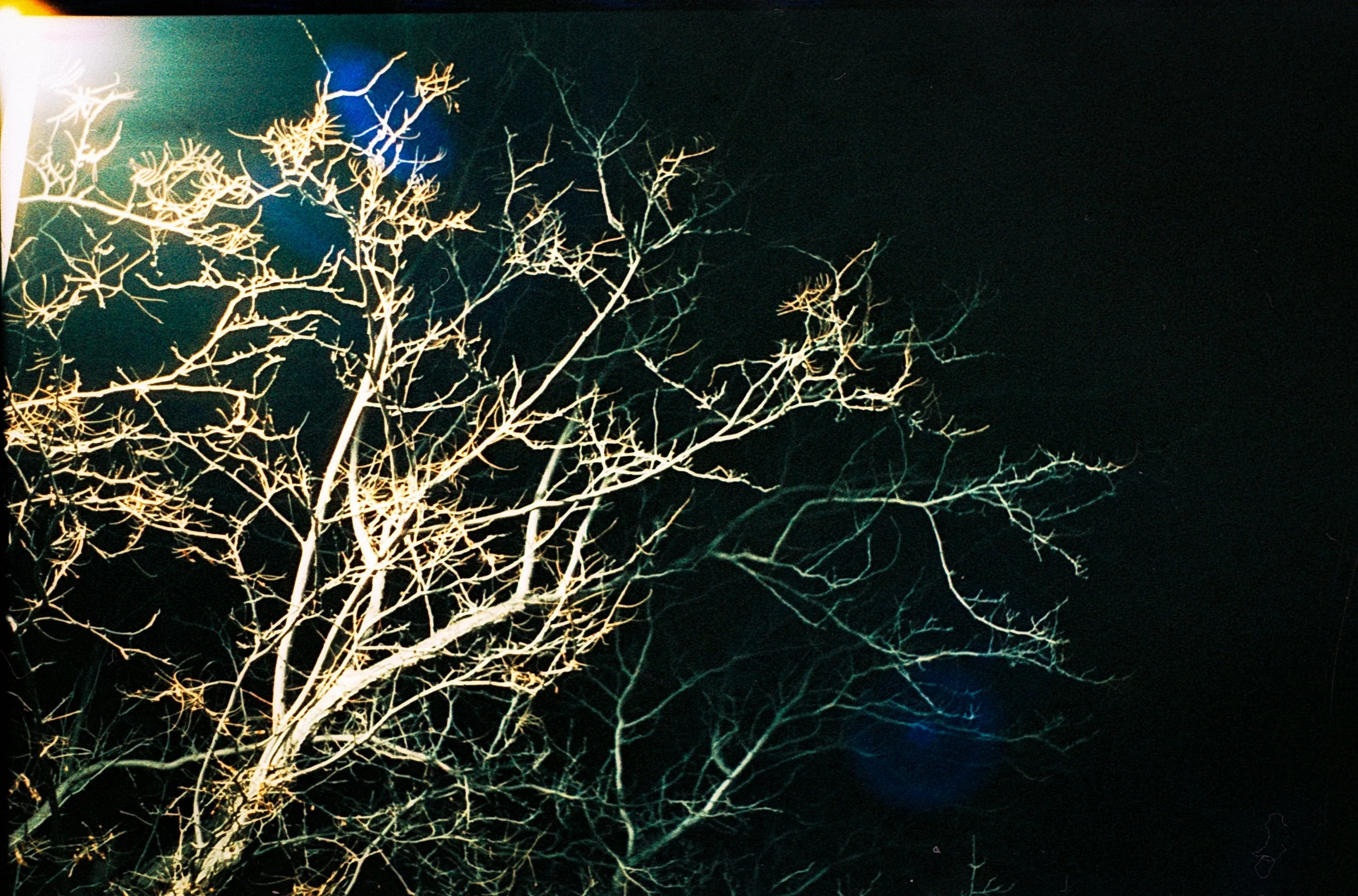 Image 7 (7).jpg