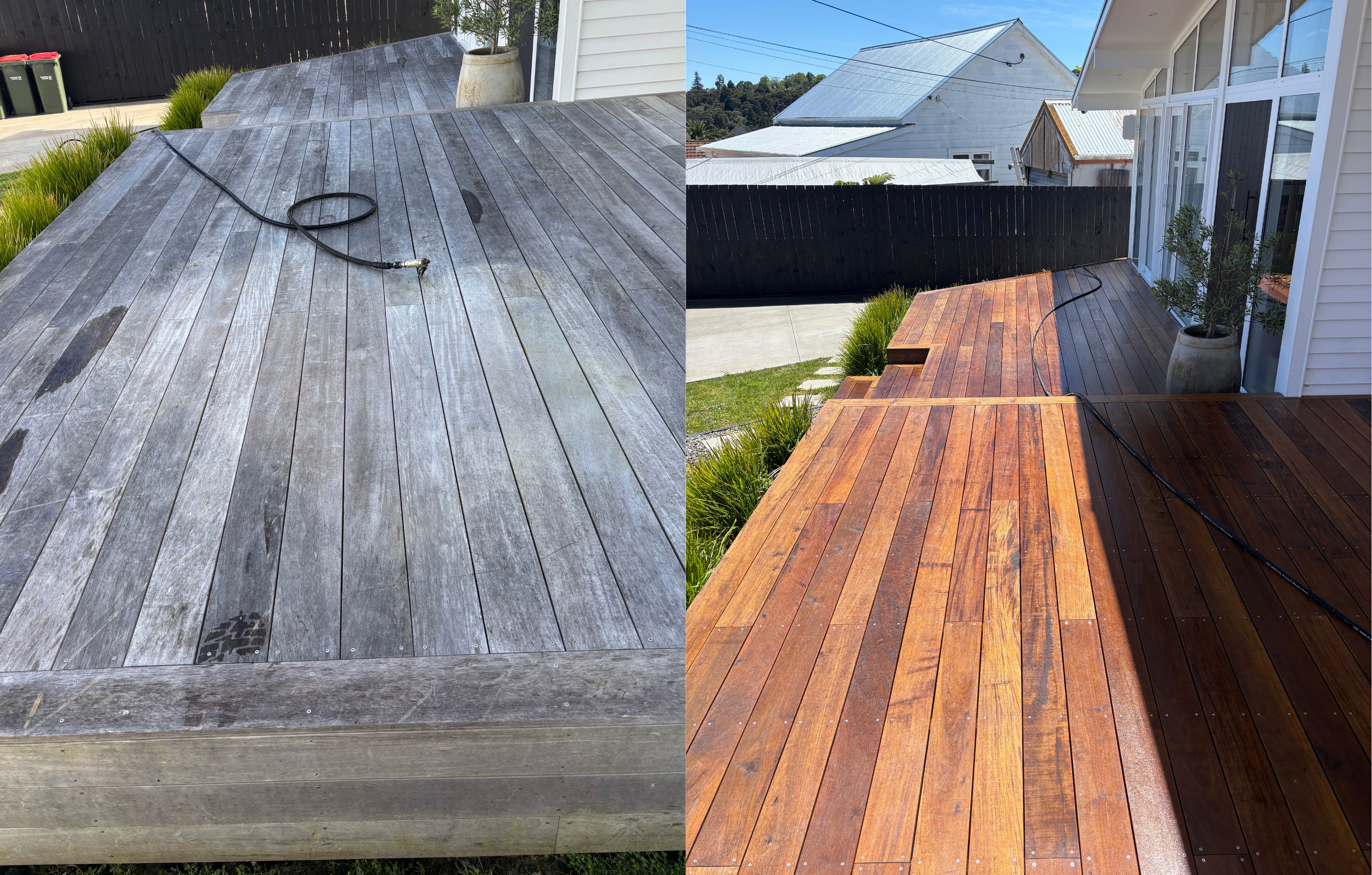 Untitled design-5.png