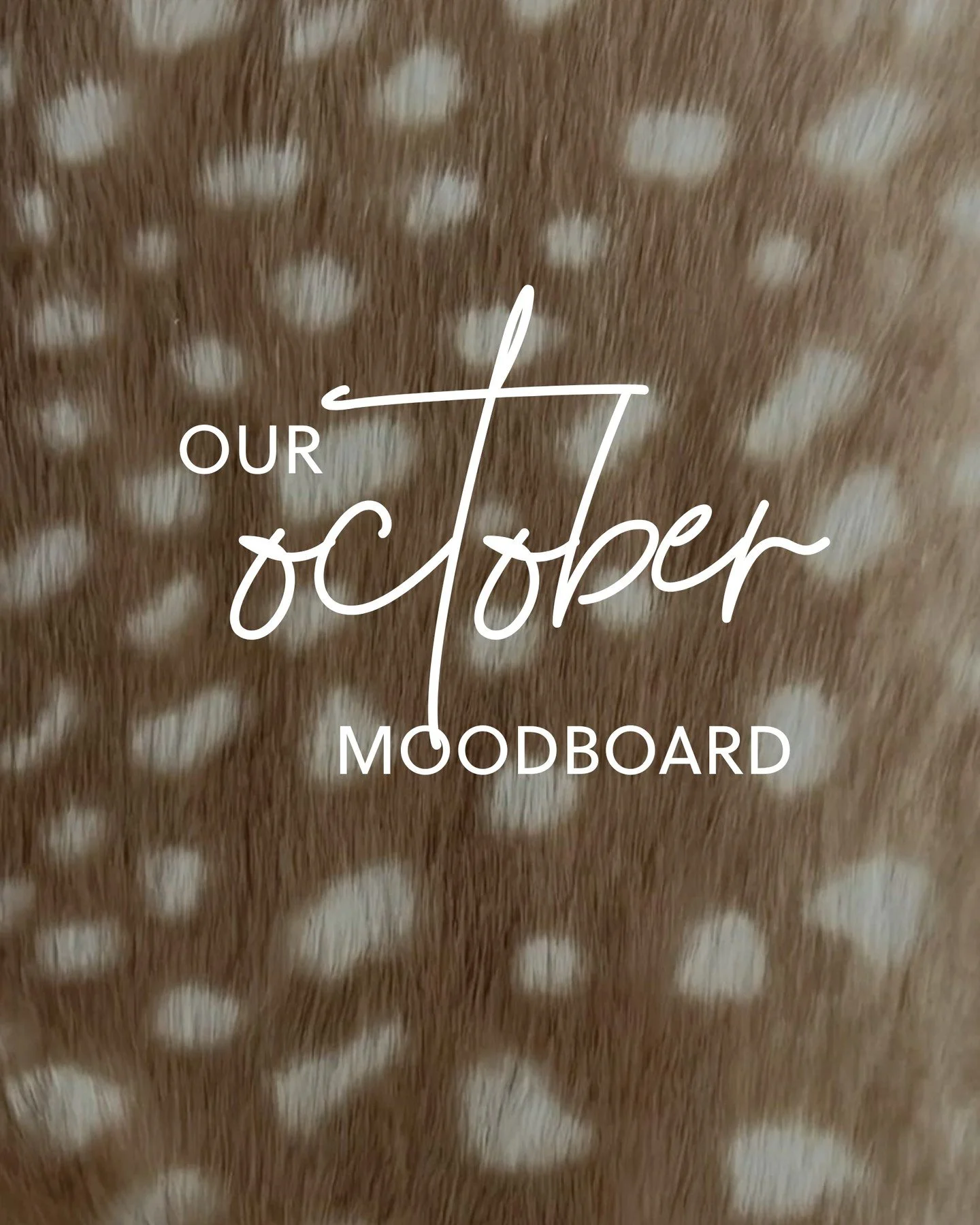October is here...and we're celebrating with mousy browns, effortless ghost layers and silky hair accessories.
ㅤ
What's on your October agenda?