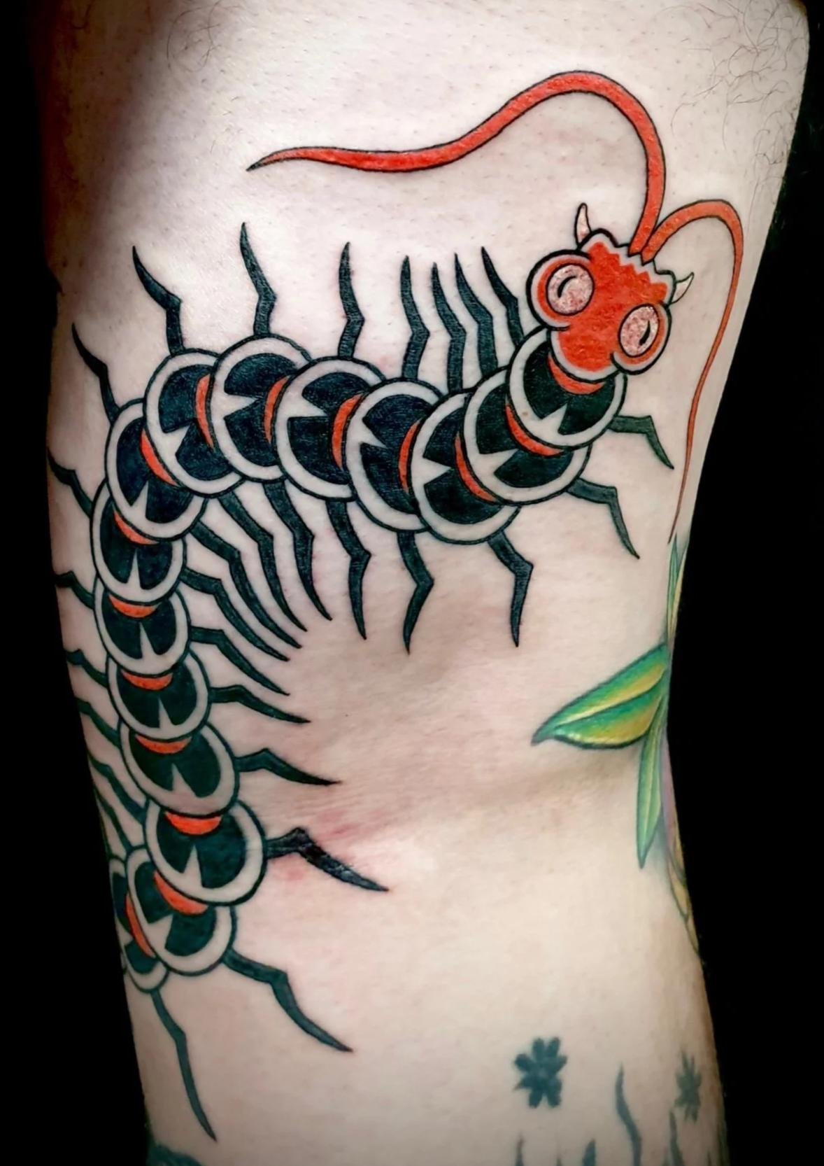 japanese tattoo centipede