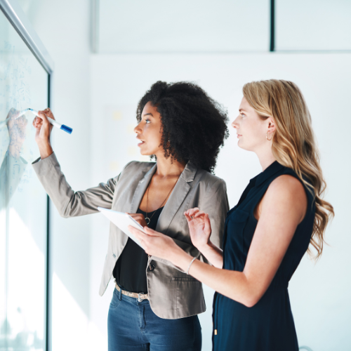 Bellingham Content Creation