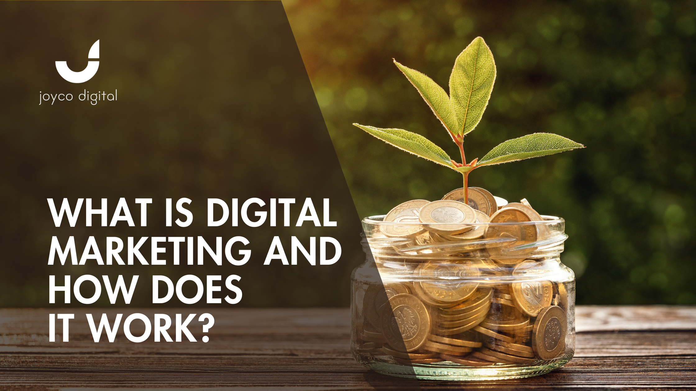 How Much Should You Spend on Digital Marketing?