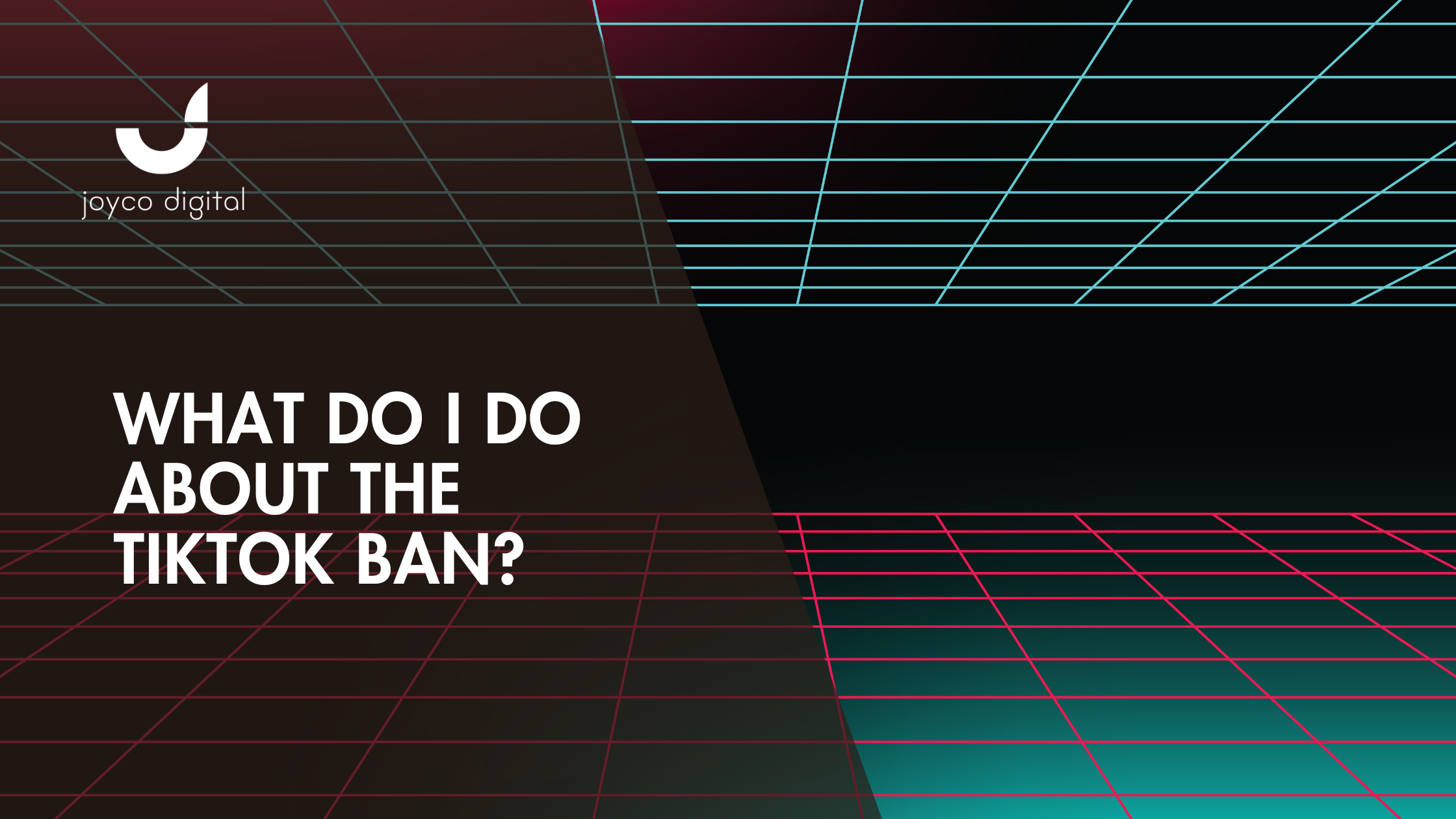 How You Can Stay Ahead of the TikTok Ban Chaos