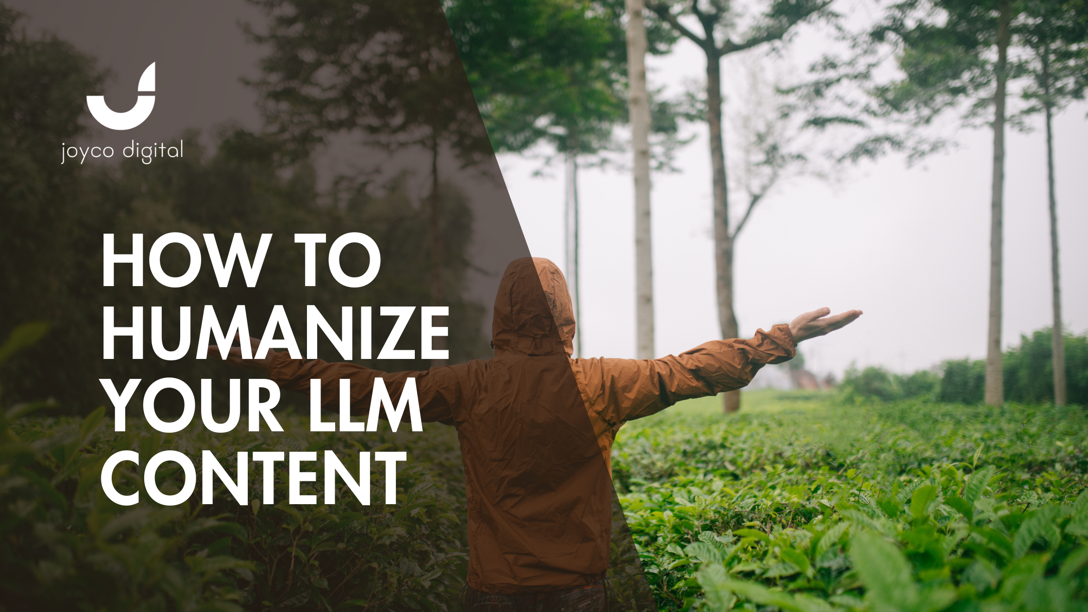 How to Humanize Your LLM/Chat GPT Content to Make AI Feel Authentic