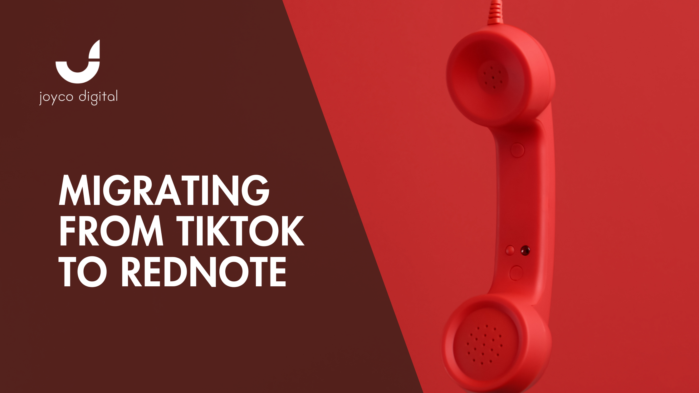 A Guide to TikTok Refugeeism and RedNote: What Business Leaders Need to Know