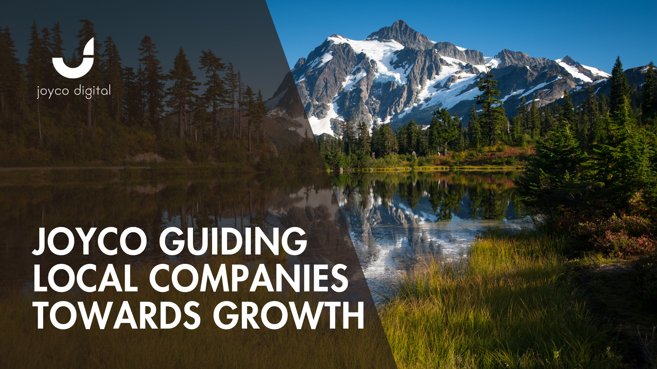 Bellingham Business Consulting: How Joyco Helps Local Companies Grow Smarter