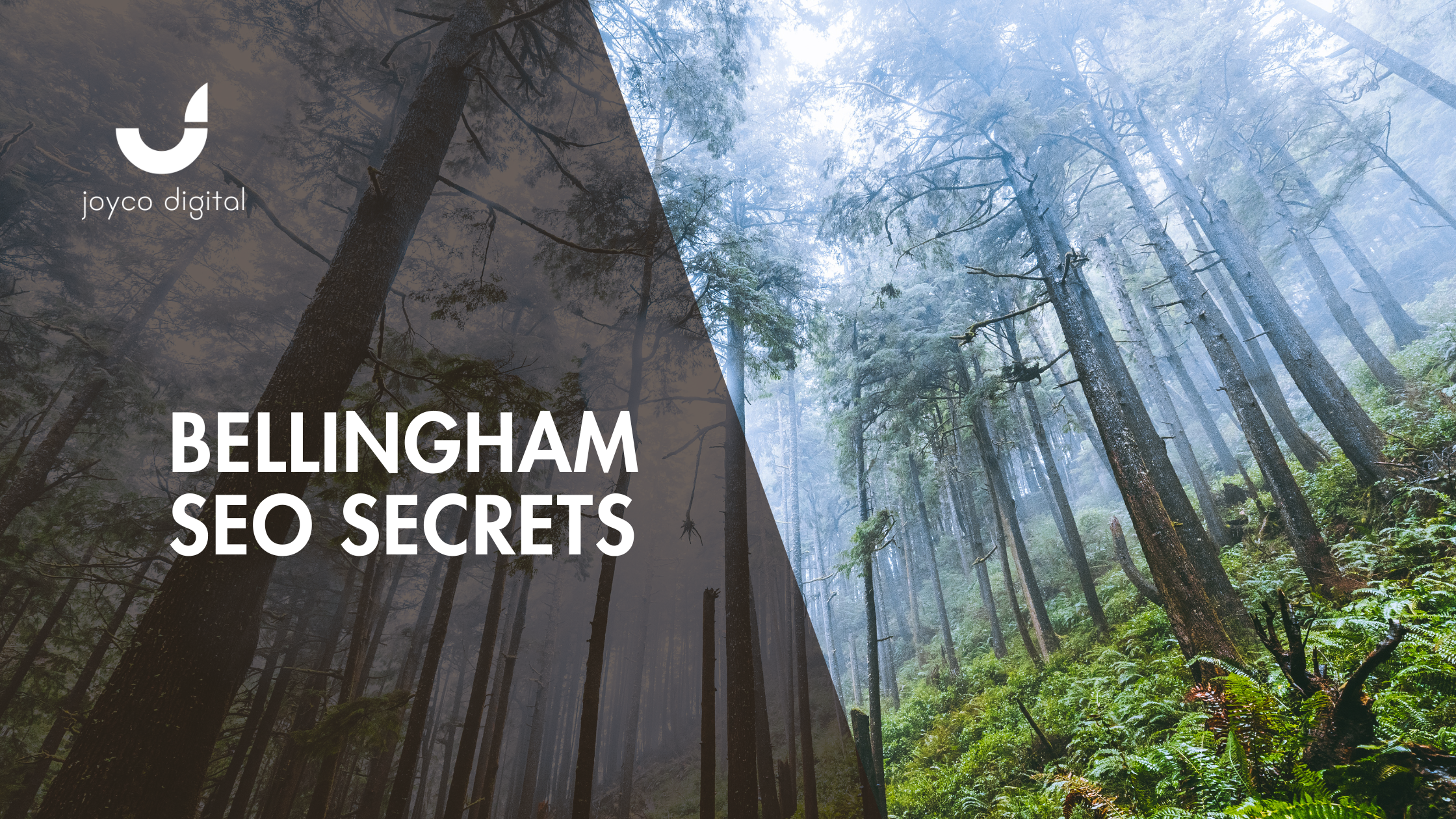Bellingham SEO Secrets: How Local Businesses Are Winning Big With Smart Search Strategies