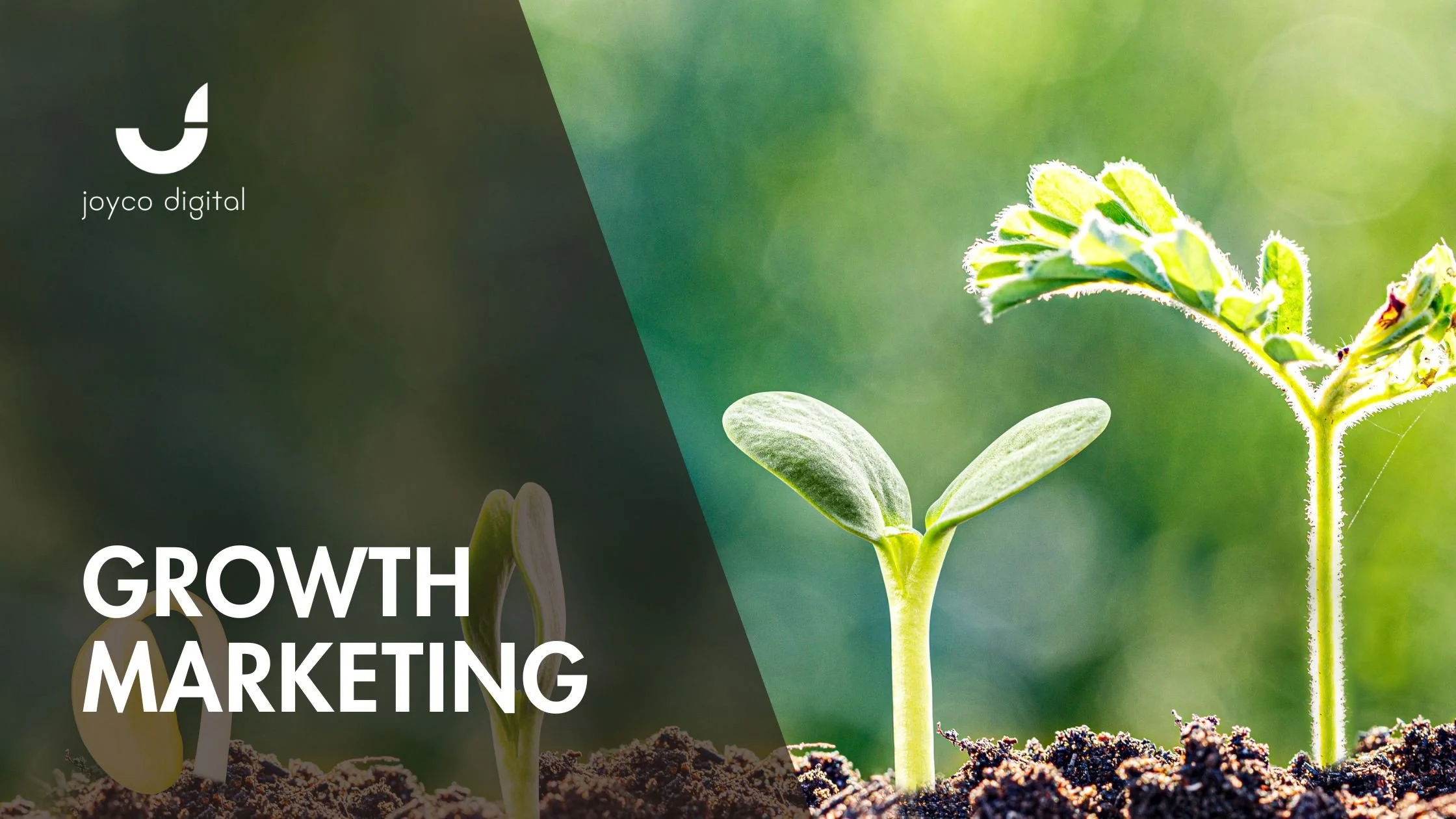 Growth Marketing: How to Turn Marketing Into Measurable Business Growth