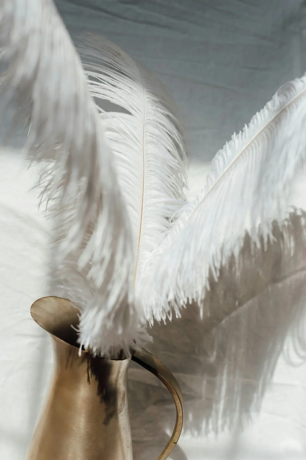 White feathers symbolising gentle energy healing and emotional support at The Natura Path.