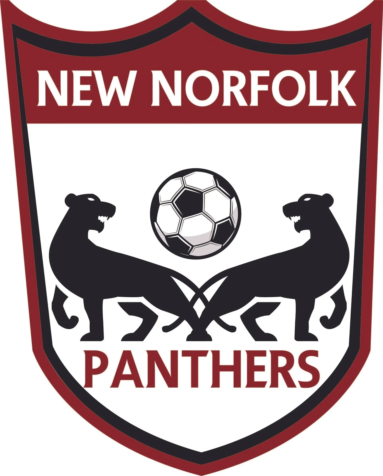 New Norfolk Panthers