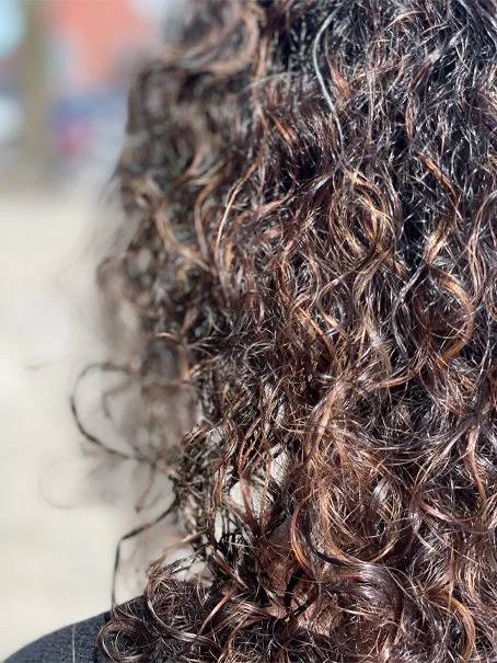 curly-color-cut.jpg