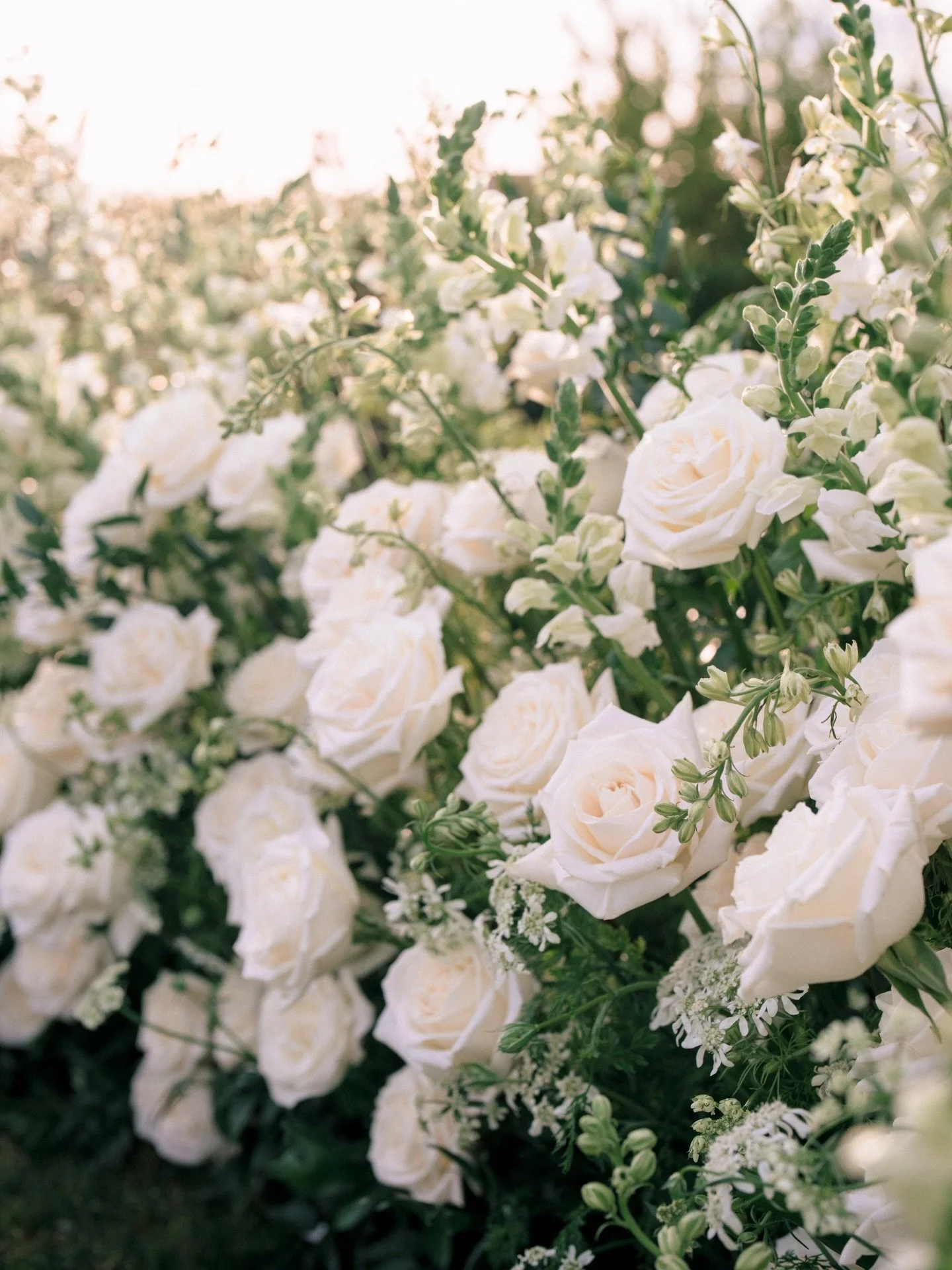 Your proposal should be exactly how you dream it and @daydreamaffairs_ did exactly that for Alexa &amp; Raul&rsquo;s proposal 😍🤍 
.
.
.
#proposal #dreamproposal #proposalinspo #arizonaengagementphotographer #justinegracephotofilm
