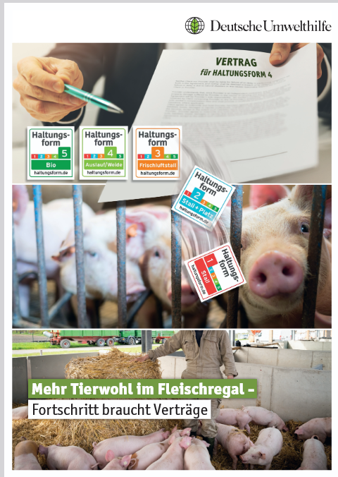 Mehr Tierwohl im Fleischregal – Fortschritt braucht Verträge