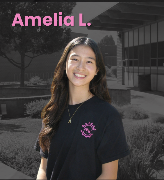 Amelia L., Electrical