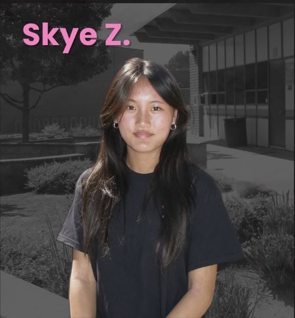 Skye Z., Operations