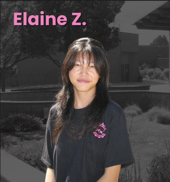 Elaine Z., Mechanical