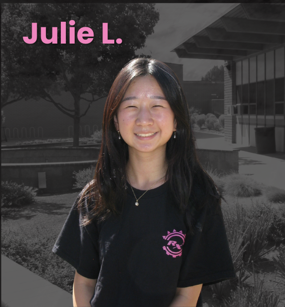 Julie L., Operations Lead/Project Manager