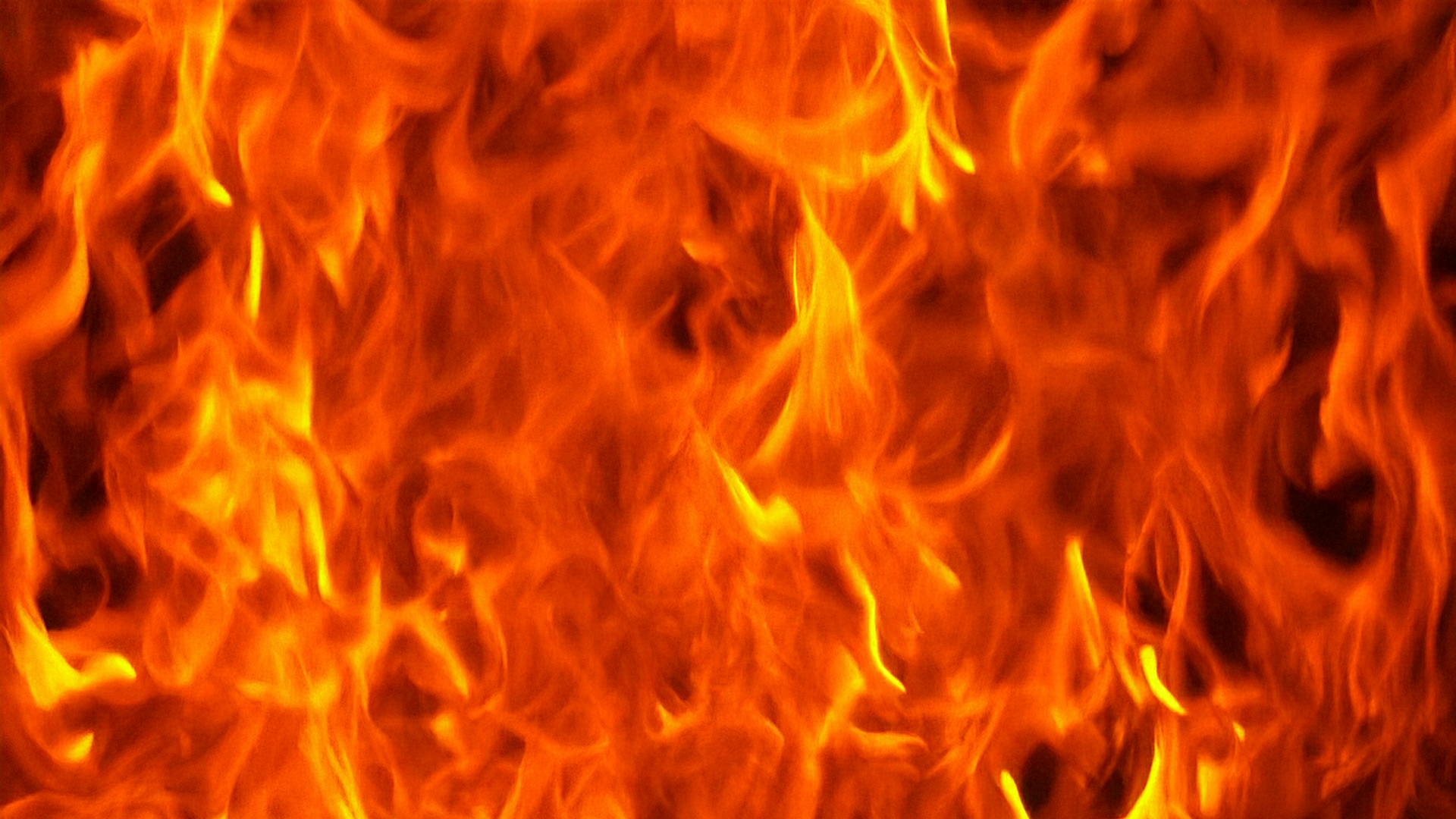 LUNAR NEW YEAR CELEBRATION