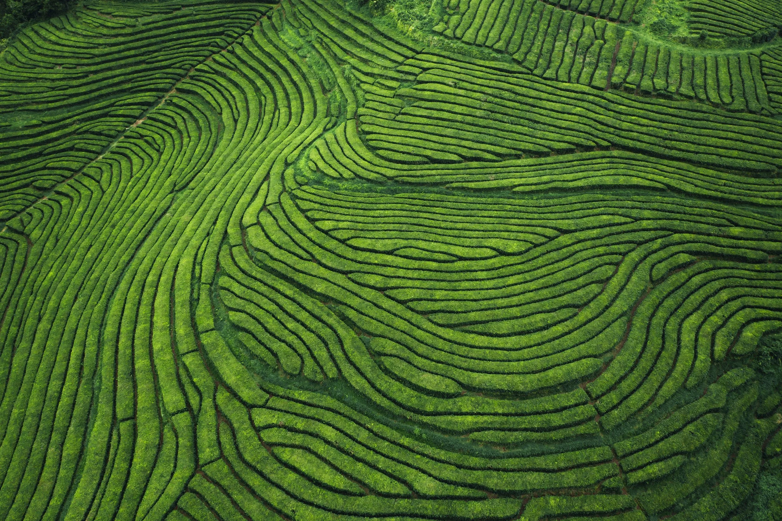 shutterstock_offset_2330509313.jpg