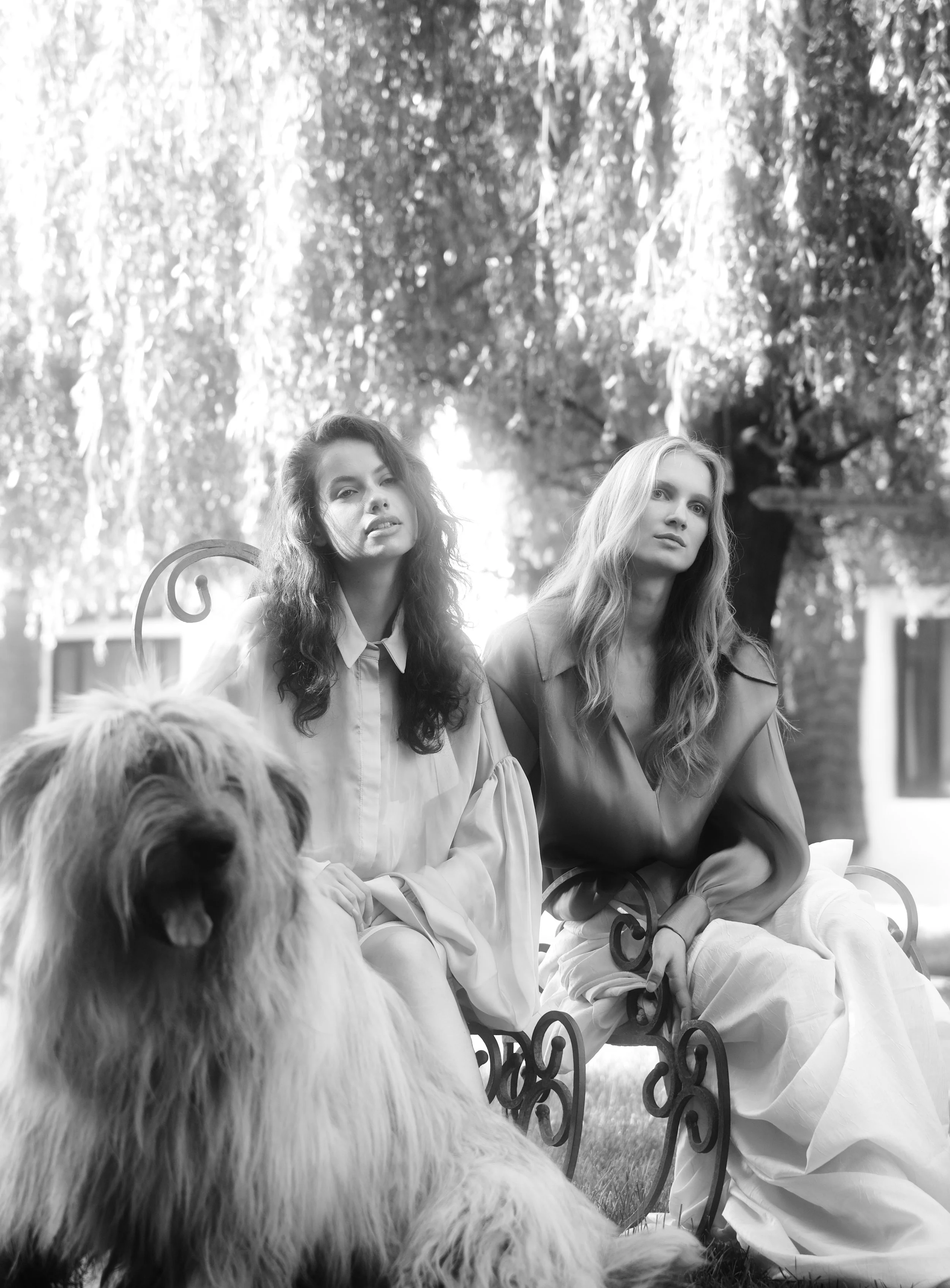 Two women sitting on a garden bench with a large dog in front of them, with trees in the background. Black and white photo.