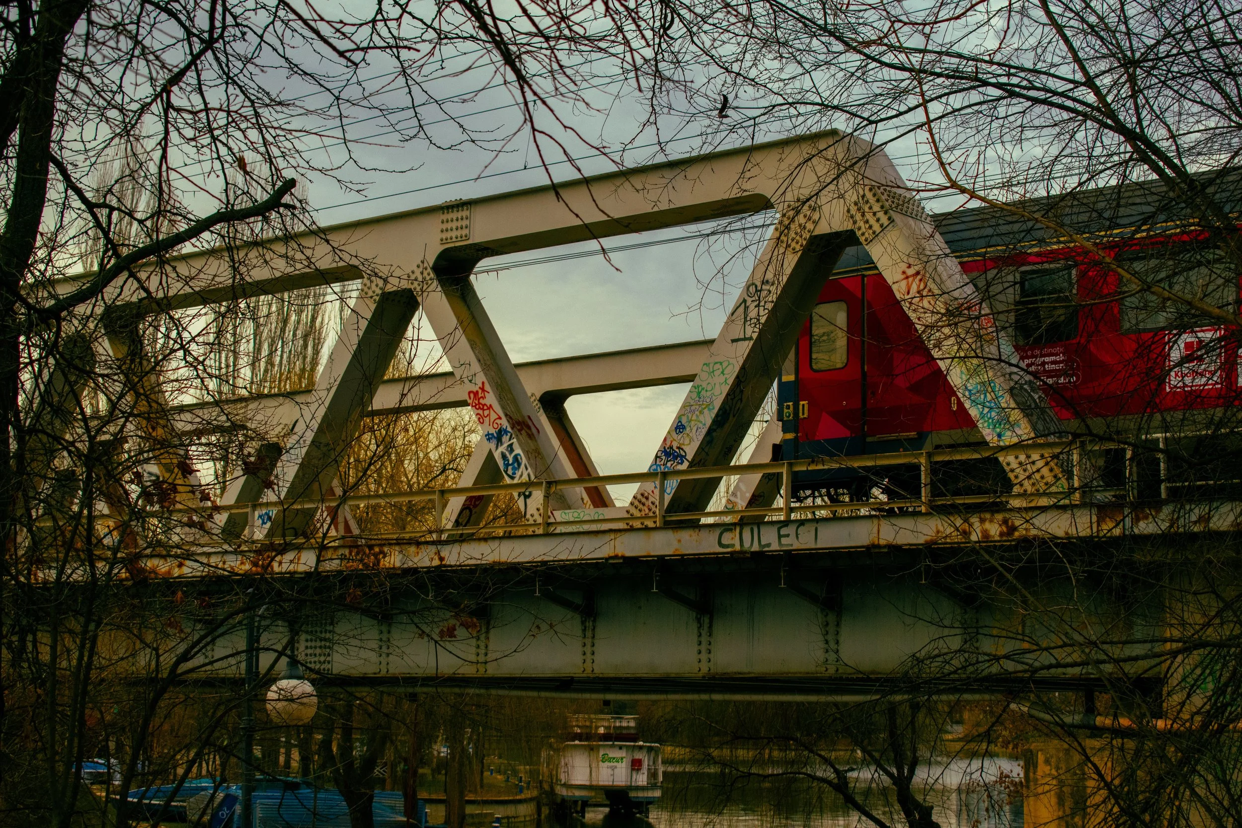 An old, graffiti-covered metal bridge with a red train on top, seen through tree branches during a cloudy day.