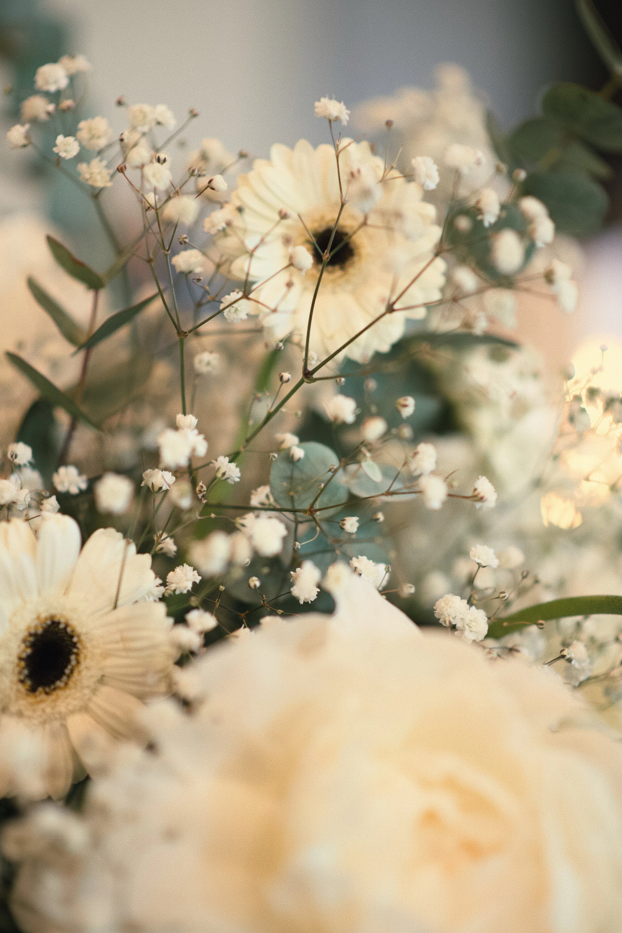 Close-up of white flowers, including daisies and baby's breath, with green leaves in the background.