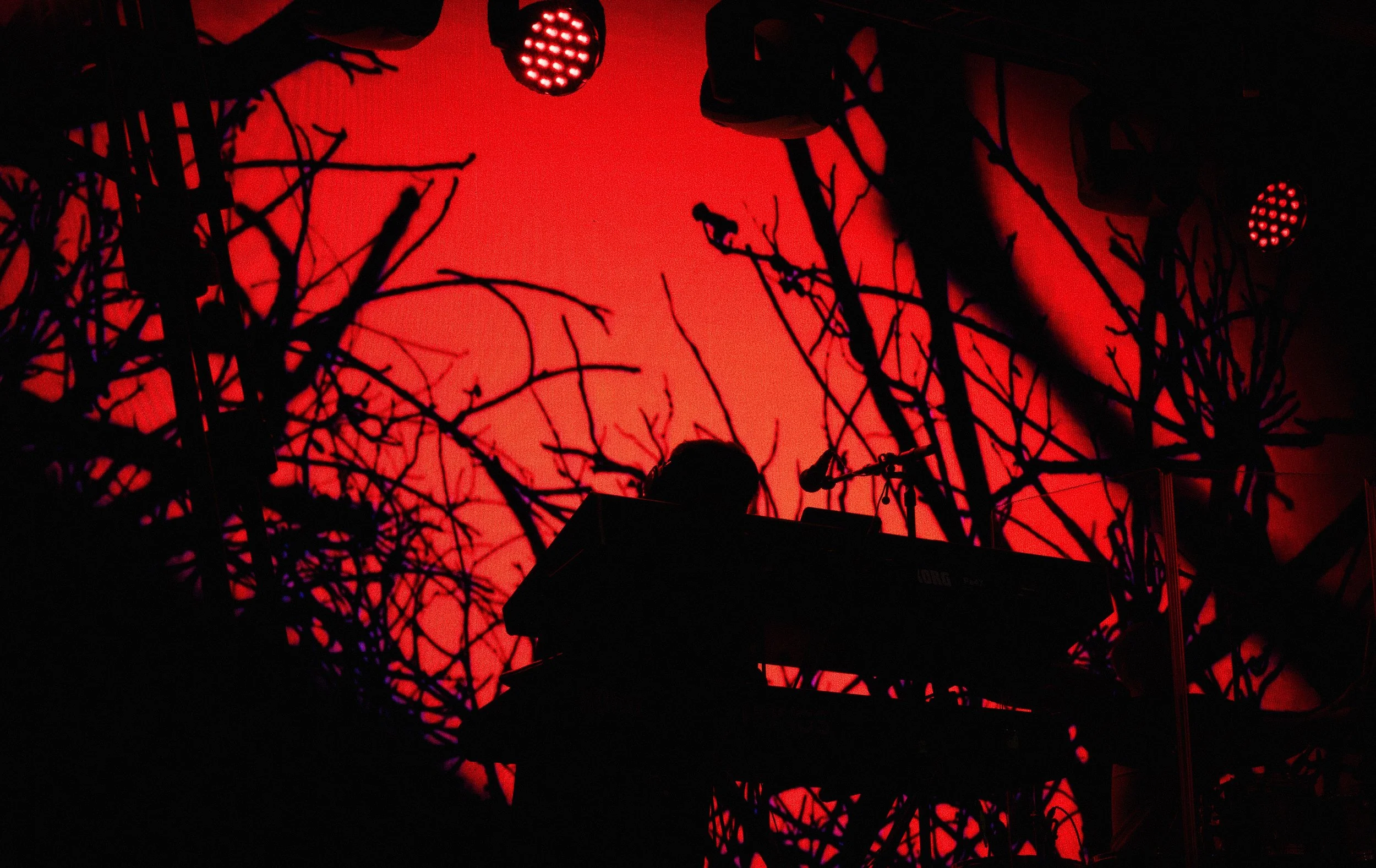 A musician playing a keyboard on stage, silhouetted against a vibrant red background with tree branch shadows and stage lights.