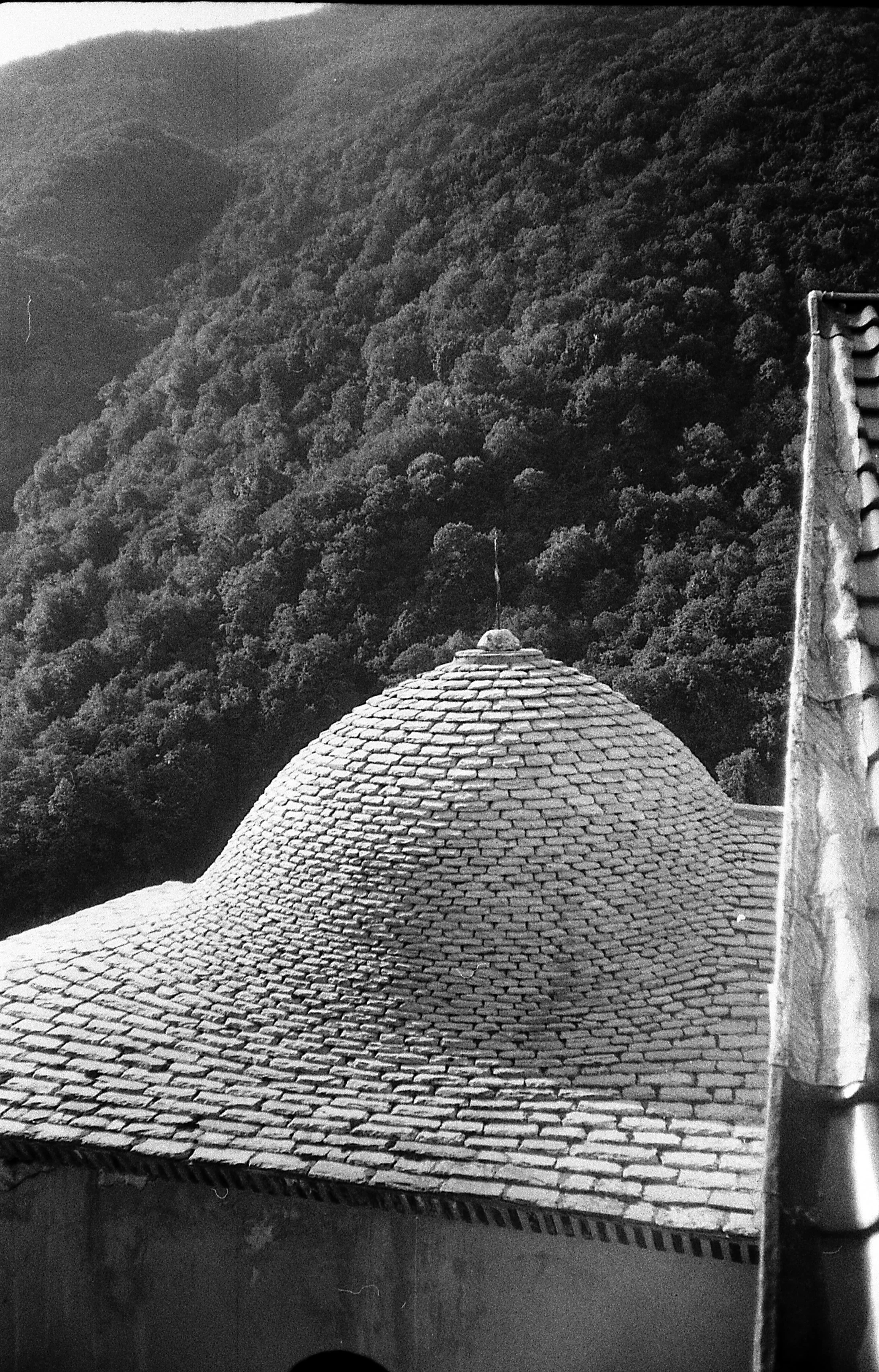 A black and white photo of a domed, tiled roof with a small round finial on top, situated against a backdrop of densely forested hills.