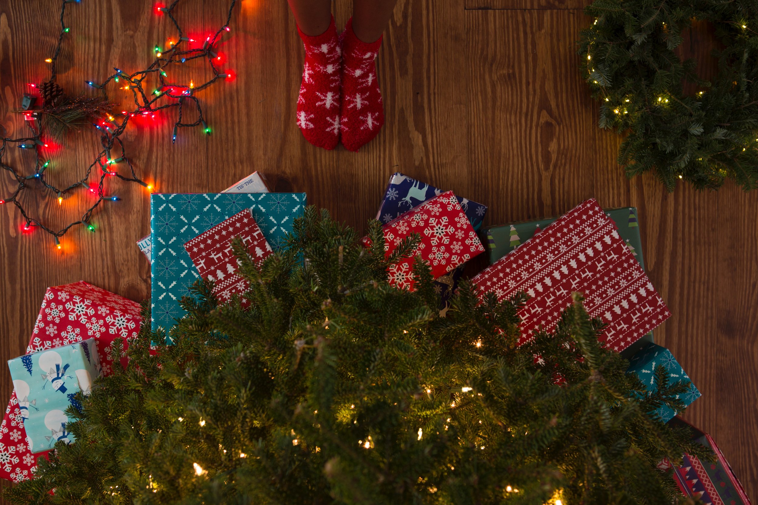 Surviving the Holiday Chaos: Best of the Web