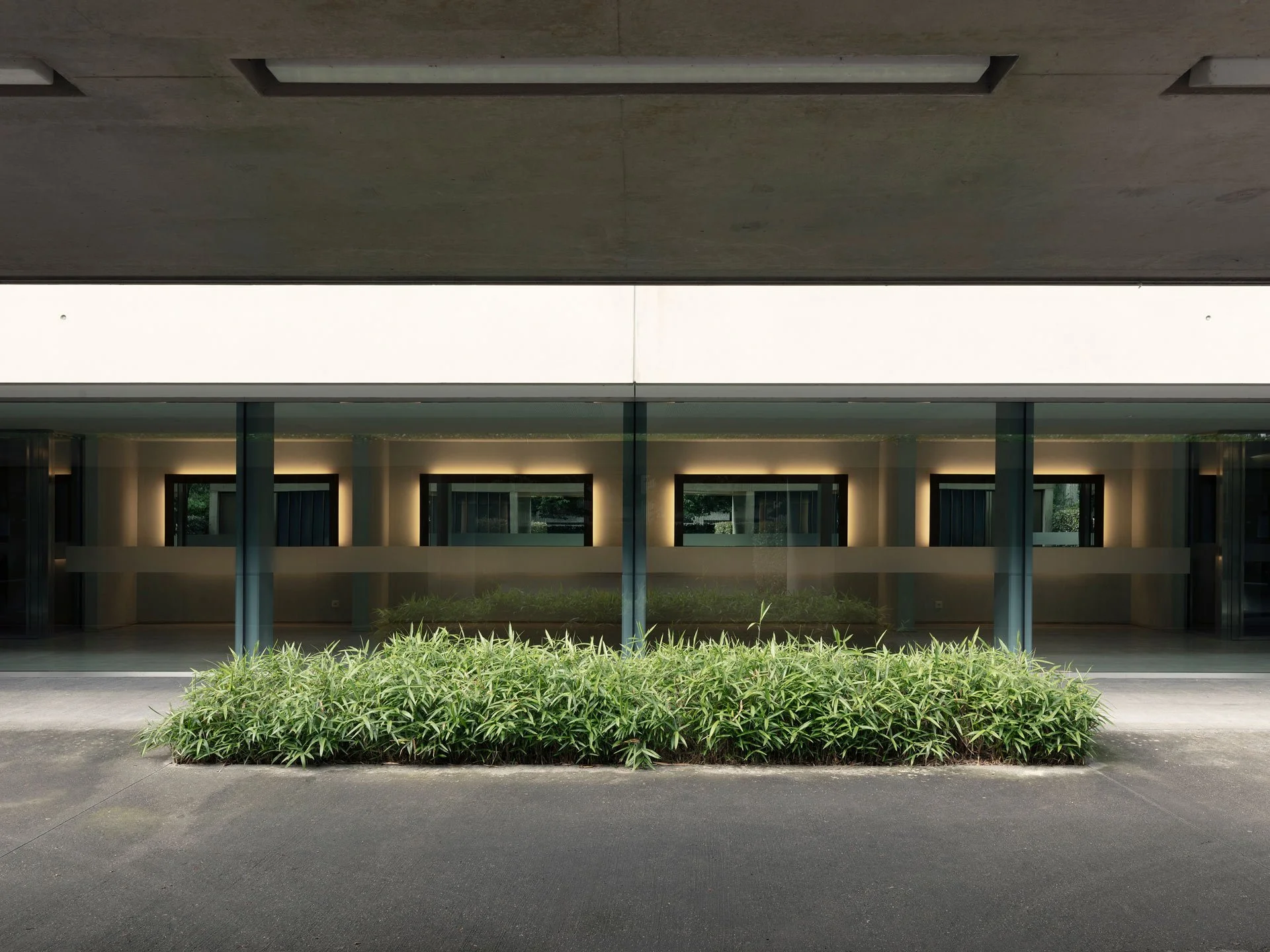 Façade de bâtiment moderne avec grandes fenêtres en verre et végétation devant.