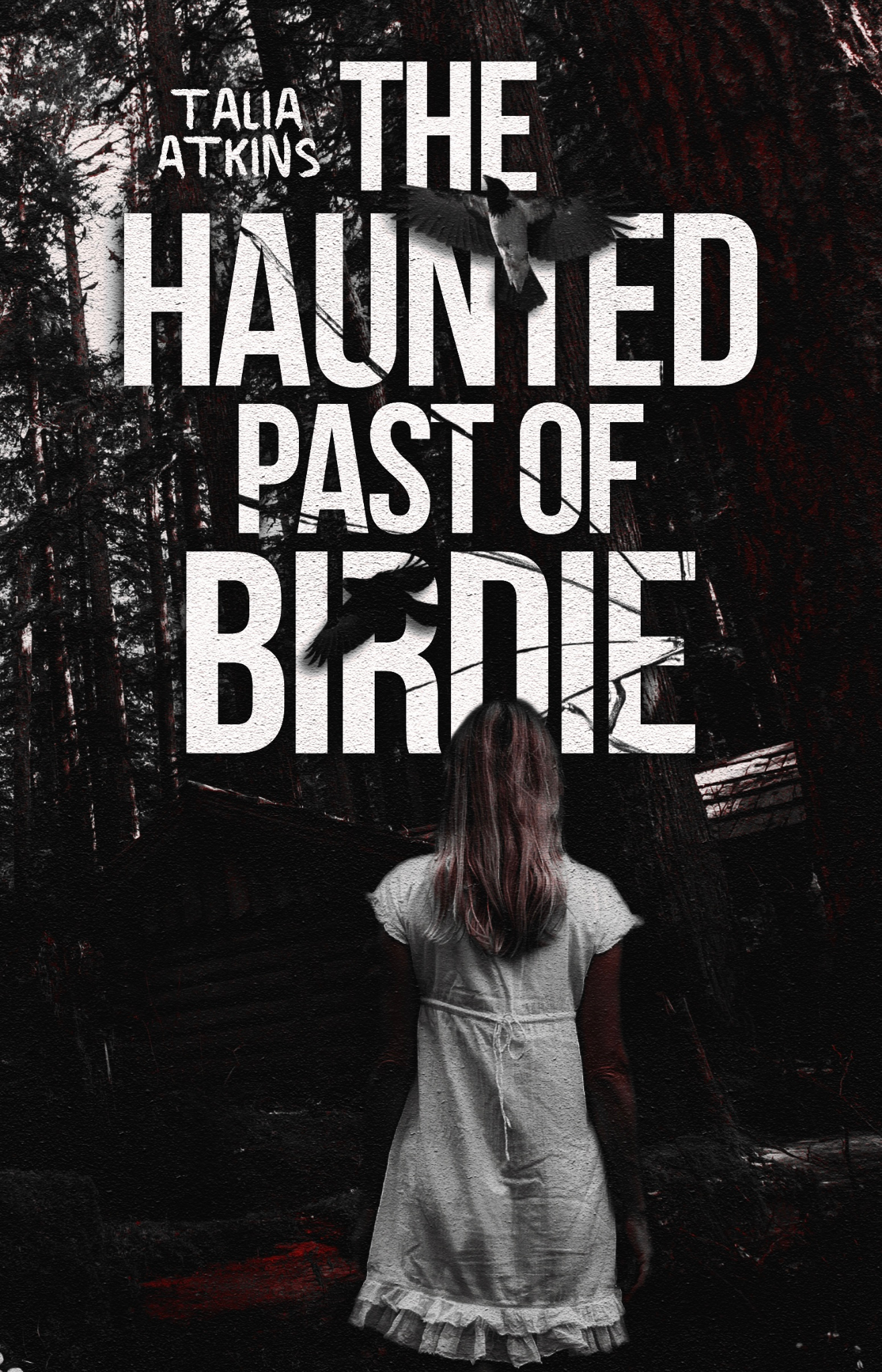 The Haunted Past of Birdie by Talia Atkins Cover Design
DARK ROMANCE