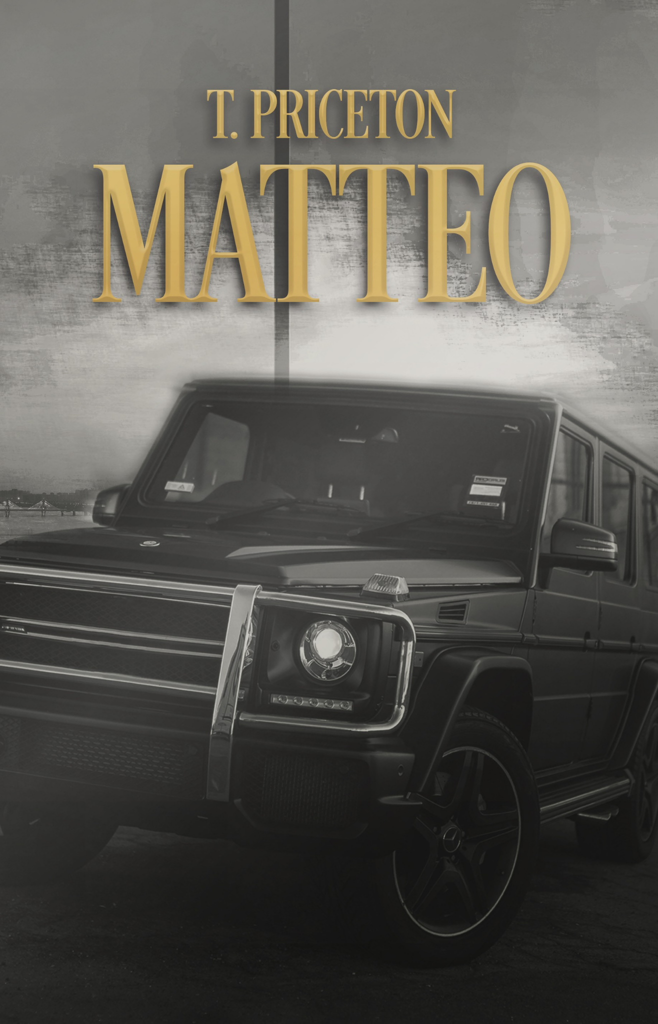 Matteo by T. Priceton Cover Design
DARK MAFIA ROMANCE