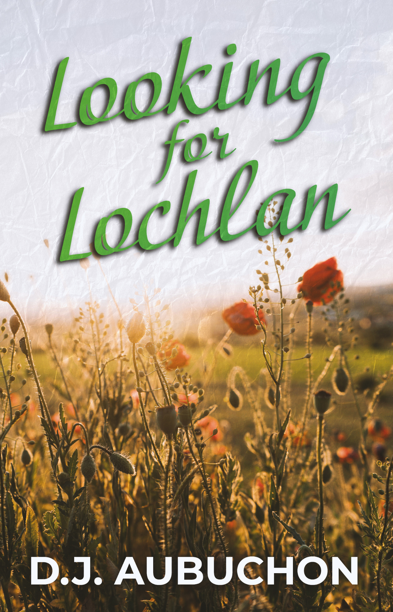 Looking for Lochlan by D.J. Aubuchon Cover Design
CONTEMPORARY SECOND CHANCE ROMANCE