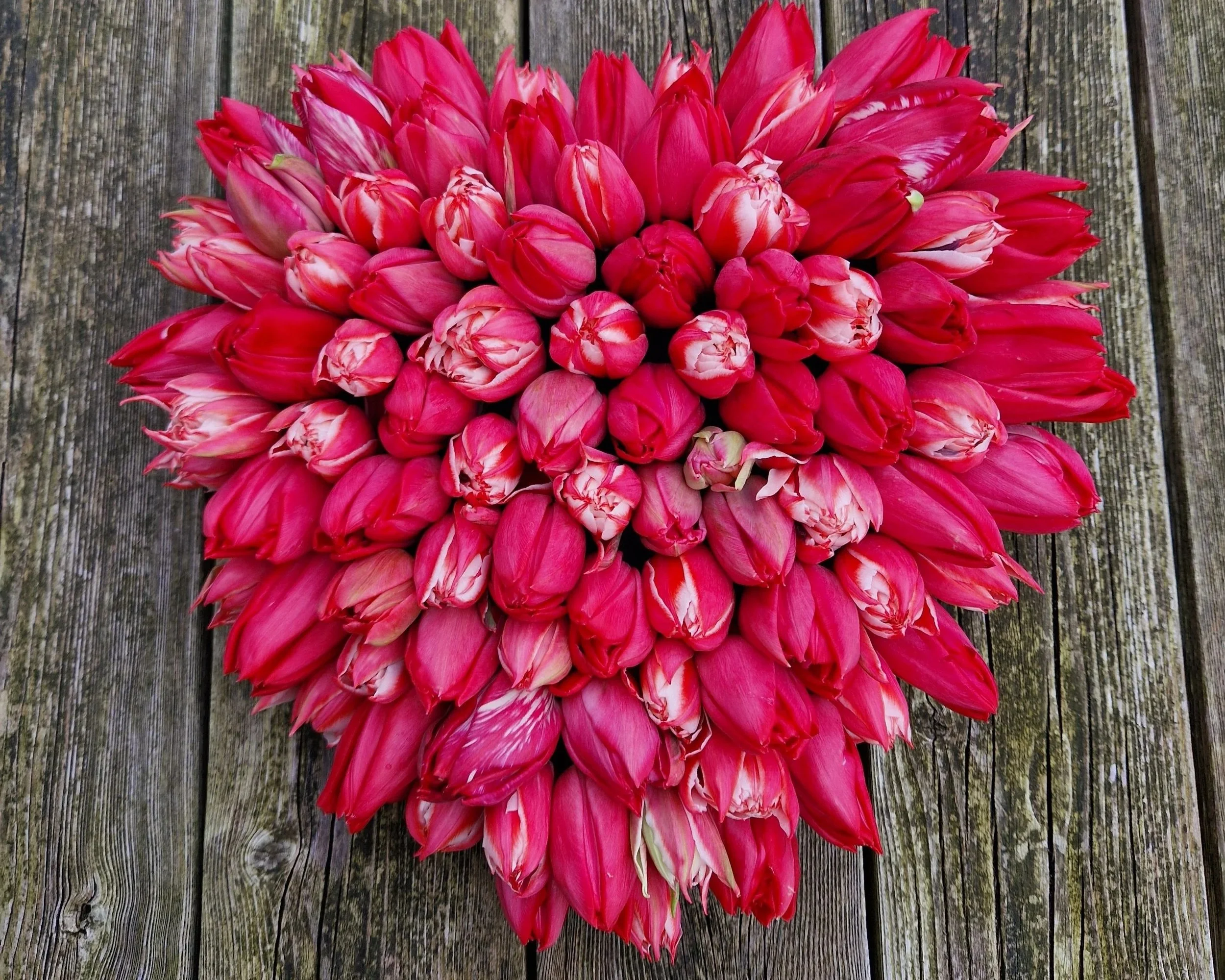 Hartvormig rouwbloemstuk van rode tulpen.jpg
