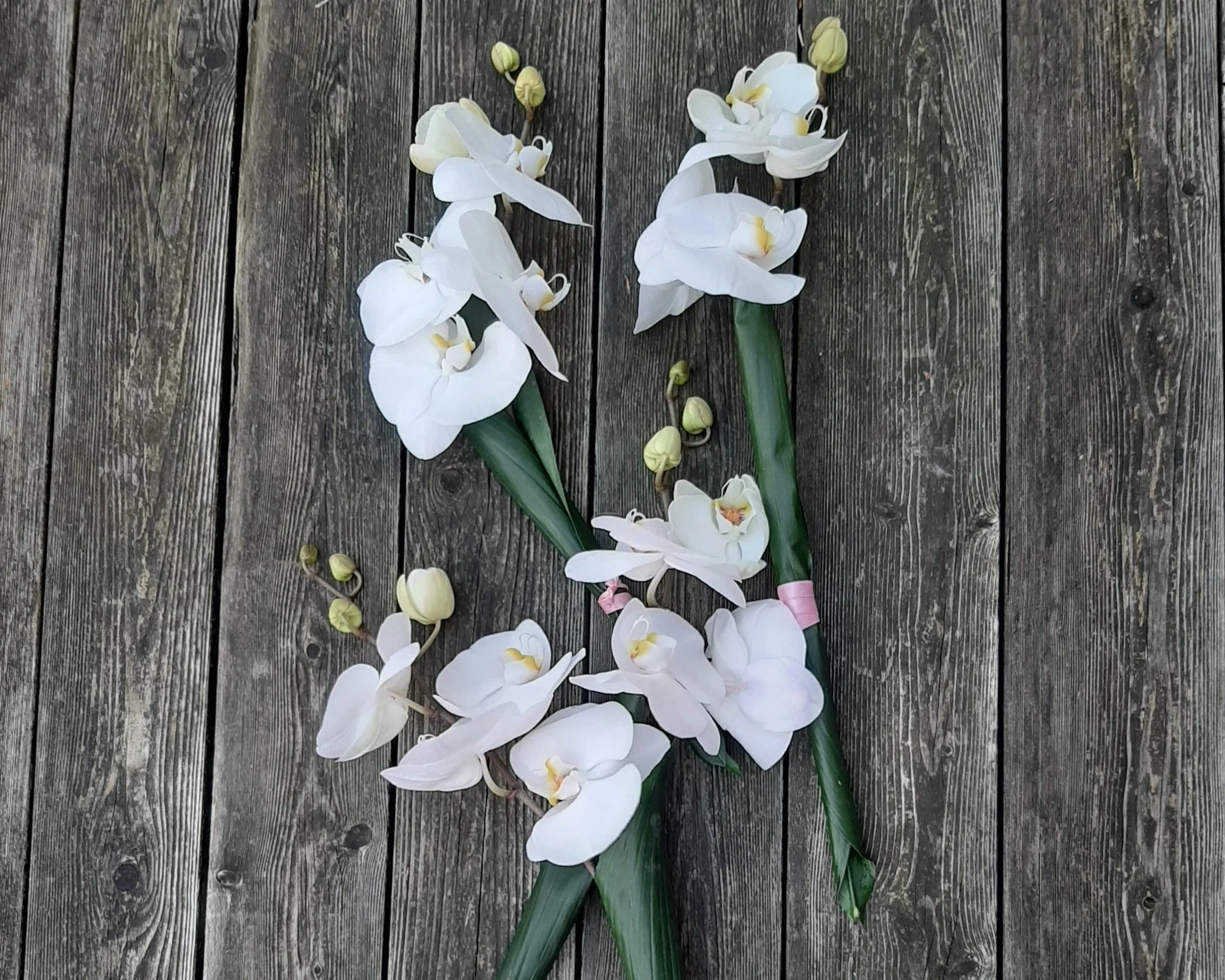 Witte orchideeën op houten ondergrond als afscheidsbloemen.jpg