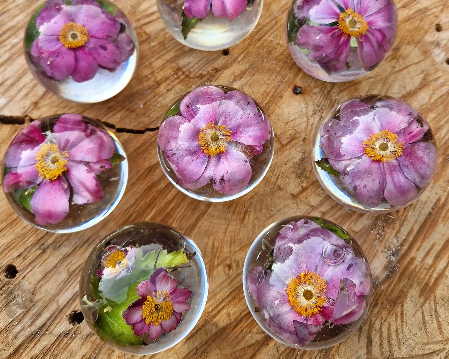 Kleine ronde epoxyvormen met roze bloemen op houten tafel.jpg