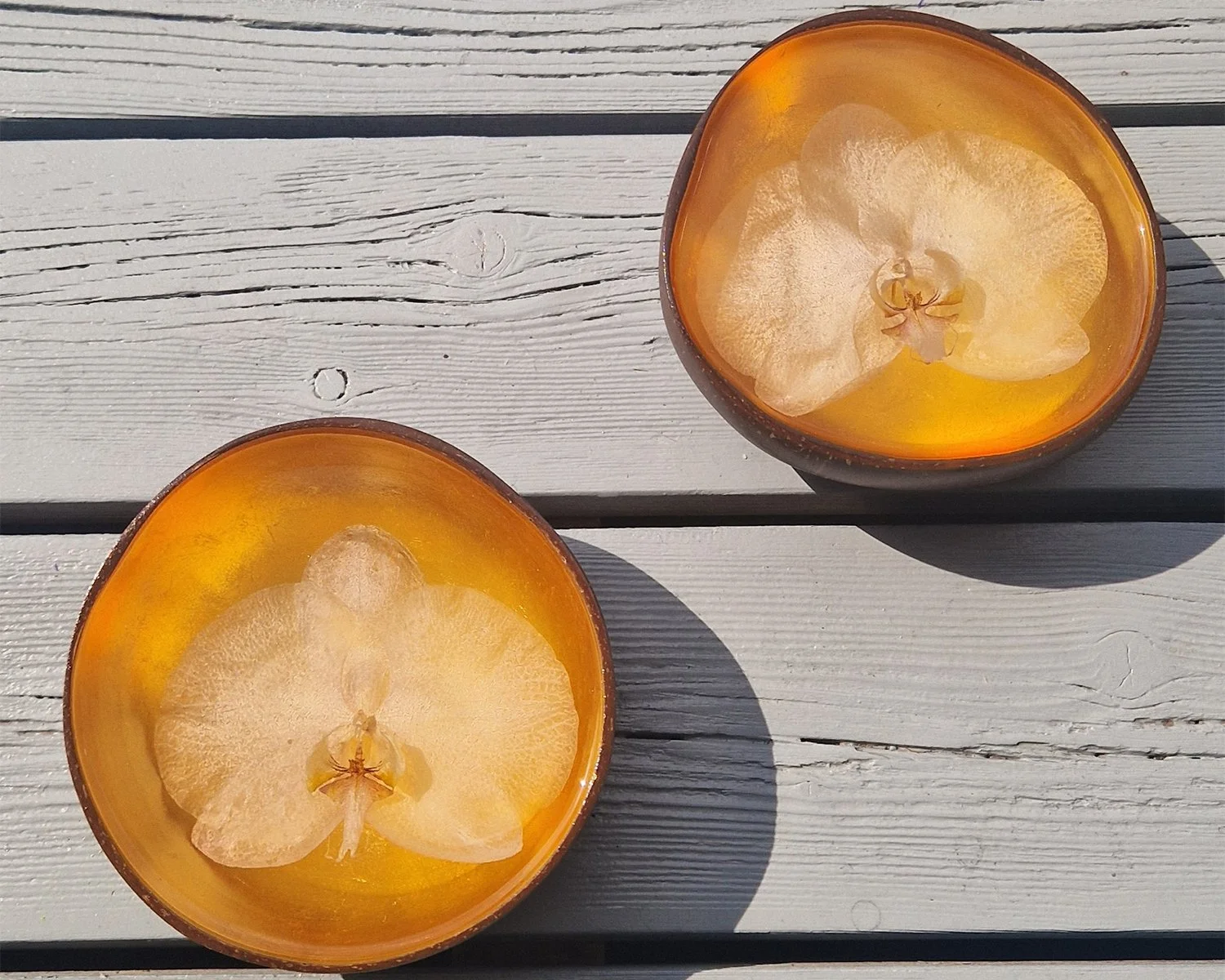 Twee ronde epoxyvormen met lichte bloemen in zonlicht.jpg