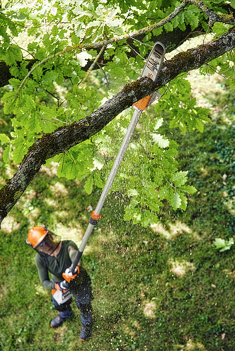 Pole Pruner Course