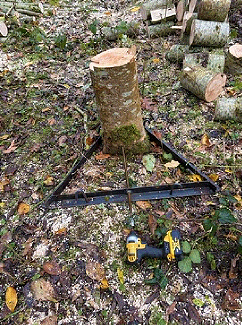 A tree stump in a forest, surrounded by chopped logs and a black square frame, with a yellow and black cordless drill on the ground nearby.