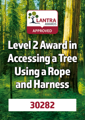Award certificate with a forest background, indicating approval for Level 2 Award in Accessing a Tree Using a Rope and Harness, number 30282.
