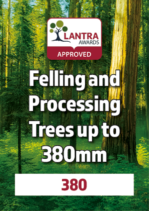 A certification sign for felling and processing trees up to 380mm, approved by the Lantra awards, with a forest background featuring tall trees and sunlight filtering through the leaves.