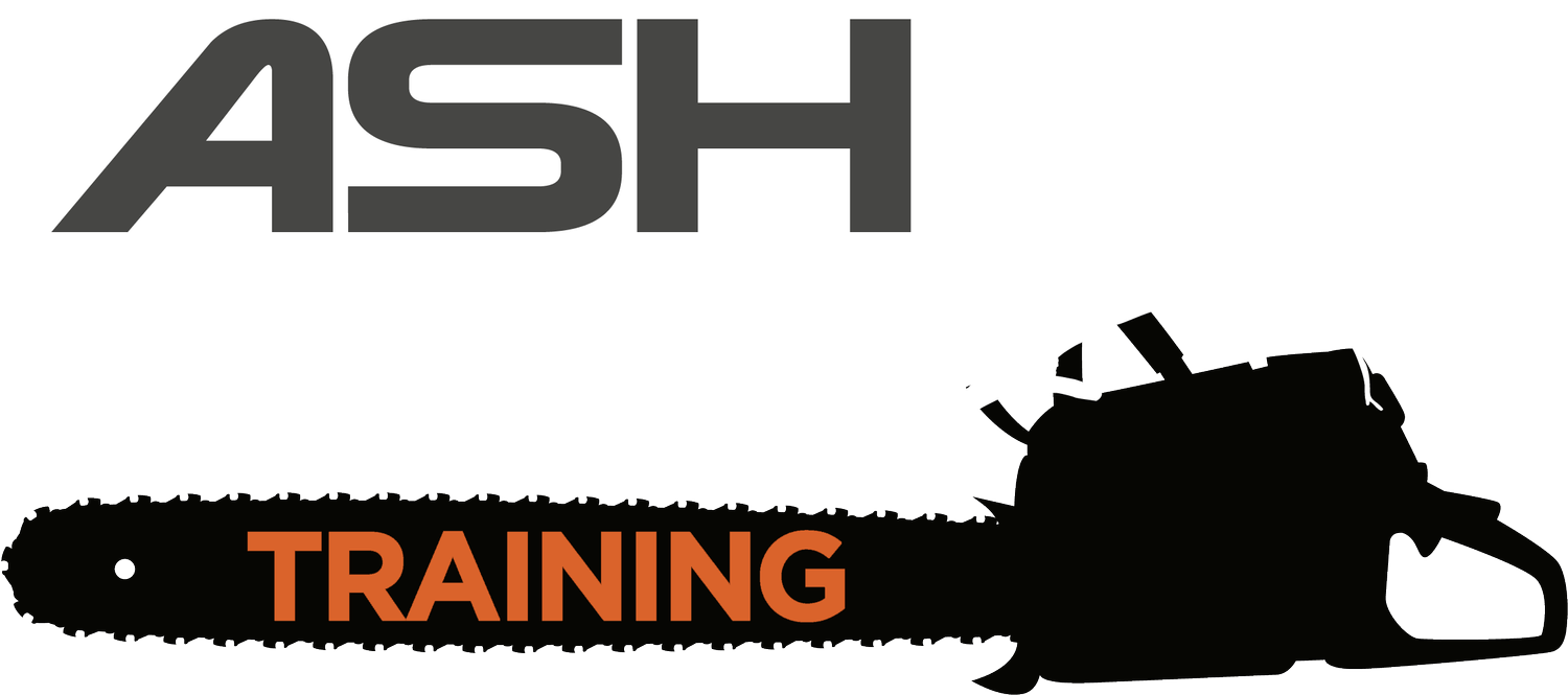 Ash Arb Training