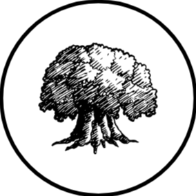 Un arbre dessiné en noir et blanc dans un style illustratif, entouré d'un cercle.