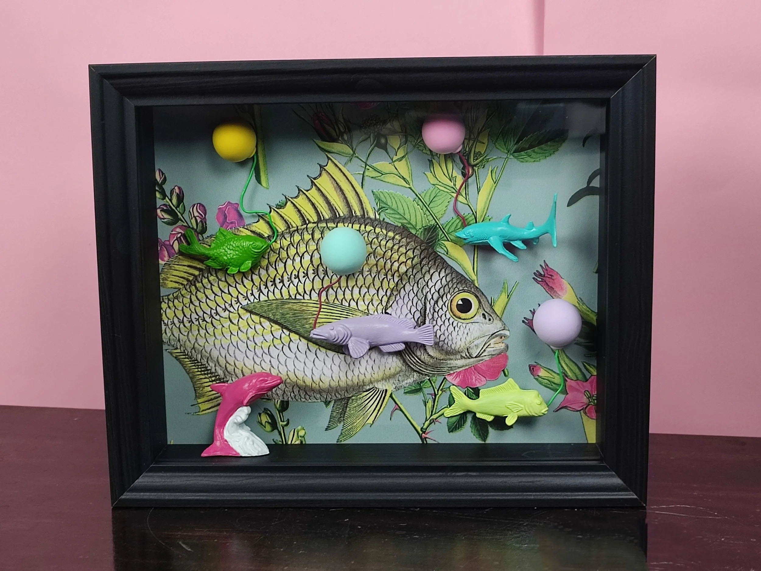 Bunter Fischschwarm im schwarzen Rahmen mit Beleuchtung