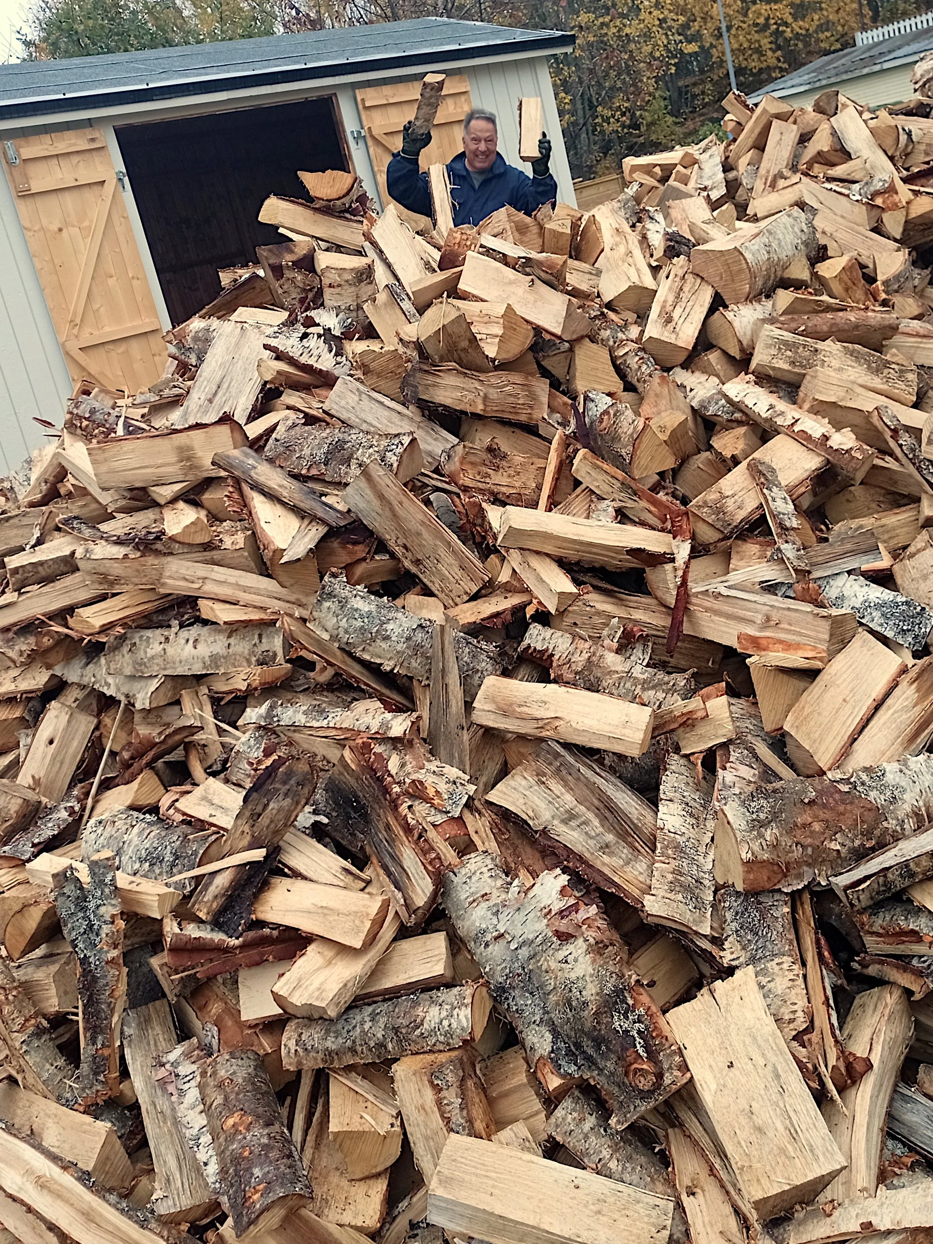 18 cubic metres of firewood
