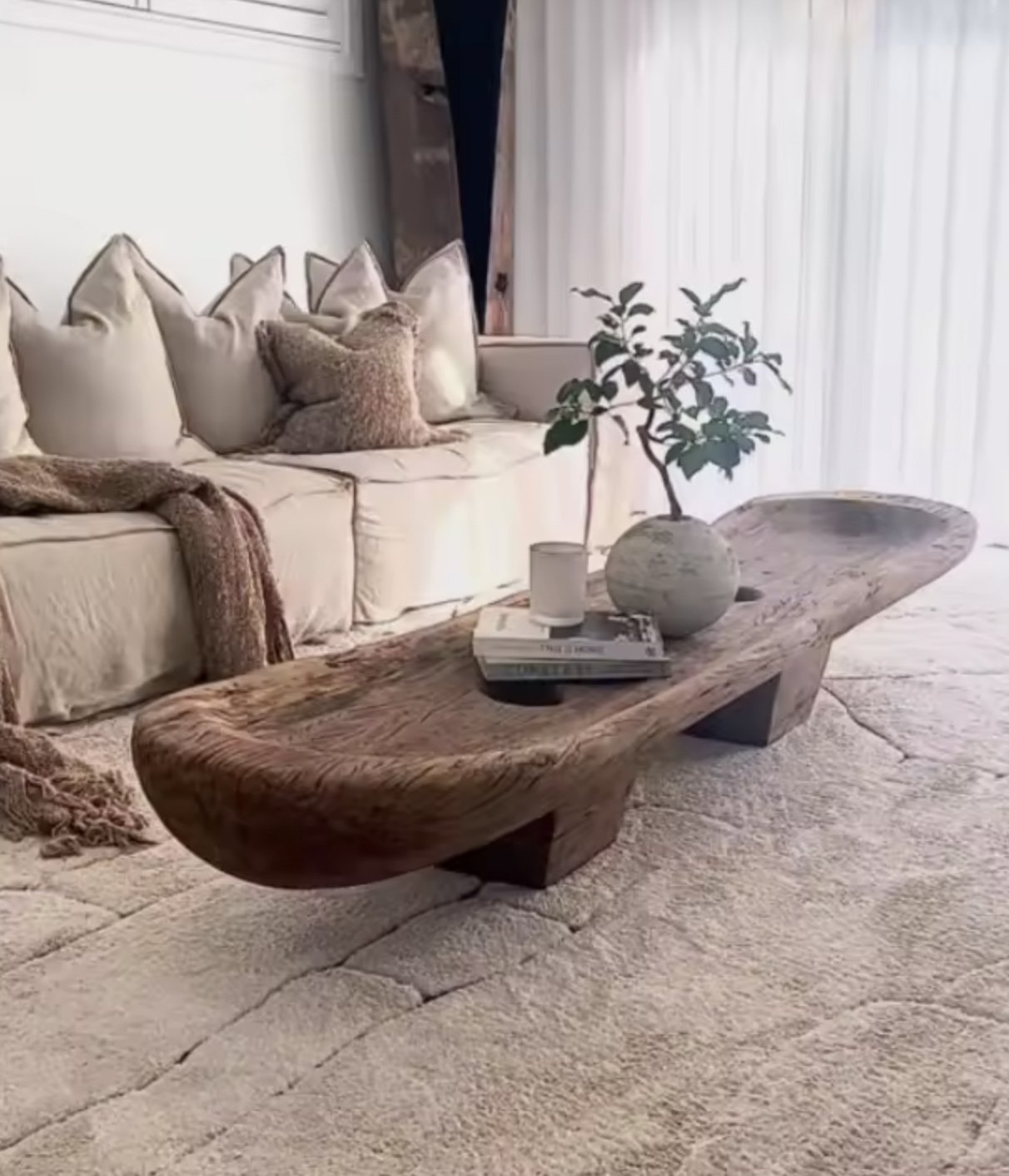 Living room with cream-colored sofa, decorative pillows, and a throw blanket. A rustic wooden coffee table holds a potted plant, a candle, and magazines. The room is bright with sheer curtains.