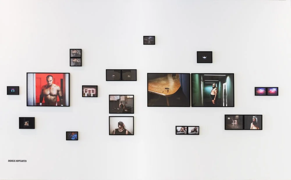 The Immortals (2014)